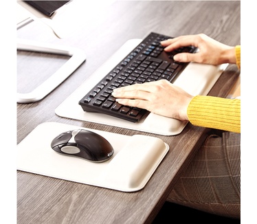 Fellowes Hana