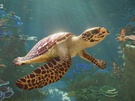 Planet Zoo 2