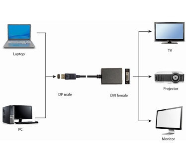 Gembird DisplayPort v.1.2 - Dual-Link DVI Zwart