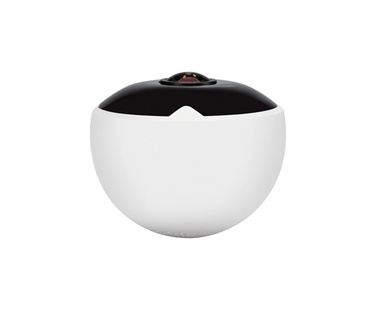 ACME IP1202
