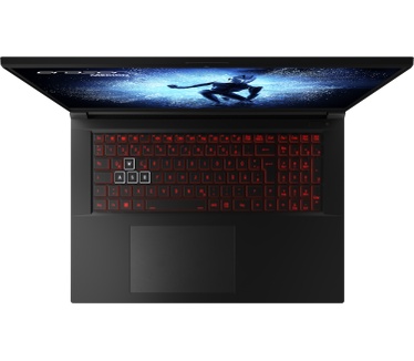 Medion Defender P40