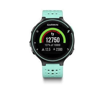 Garmin Forerunner 235 Zwart (Blauw, Zwart)