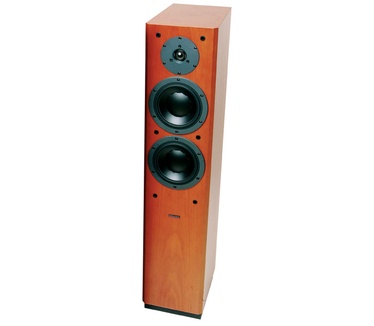 Focus 220 Rood