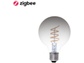 Goedkoopste EcoDim Zigbee led filament lamp dimbaar E27, globe G125, Smokey 1800K-5000K