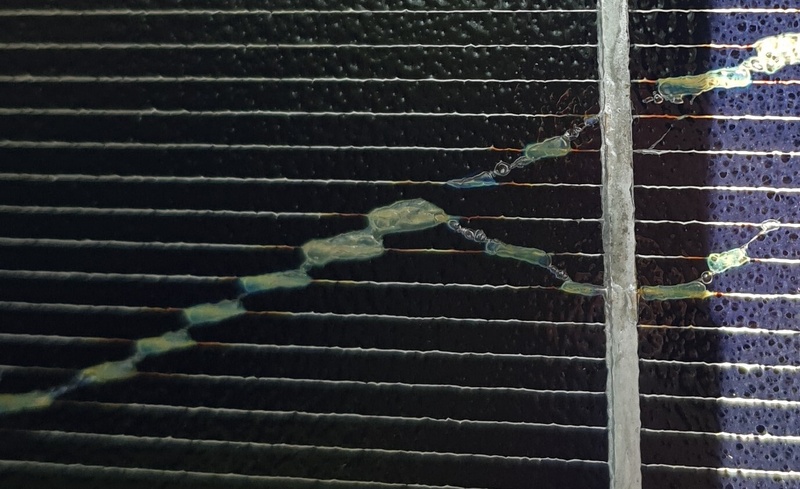 Afbeeldingslocatie: https://tweakers.net/i/xiklb51GGa9QGVcDkmLBNYcWWuI=/800x/filters:strip_icc():strip_exif()/f/image/XqRHwl27ncjdf5smmwKaRKz1.jpg?f=fotoalbum_large