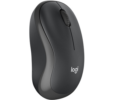 Logitech MK295 Silent Wireless Combo (Qwertz CH) Zwart