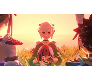 Monster Hunter Stories 2, Switch