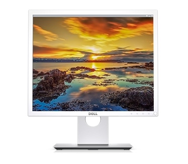 Dell P1917S