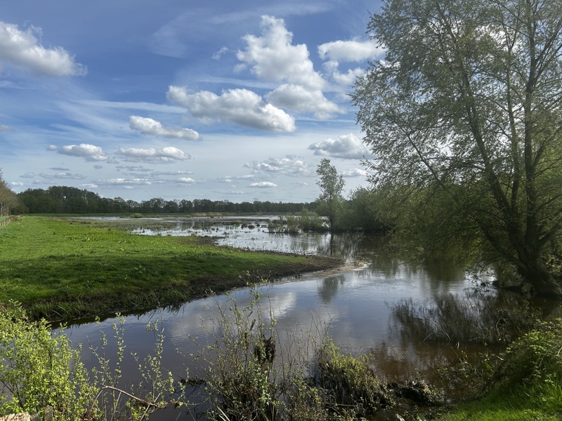 Afbeeldingslocatie: https://tweakers.net/i/xtLPeVF2kGNnE5jHj6RzMD_McLQ=/800x/filters:strip_icc():strip_exif()/f/image/2UXgwH1DVLNFQo2PfLo9VlHI.jpg?f=fotoalbum_large