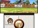 Nintendogs Cats