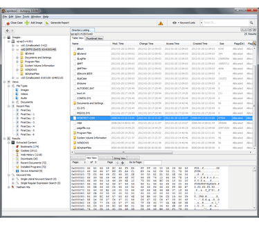 Autopsy Forensic Browser