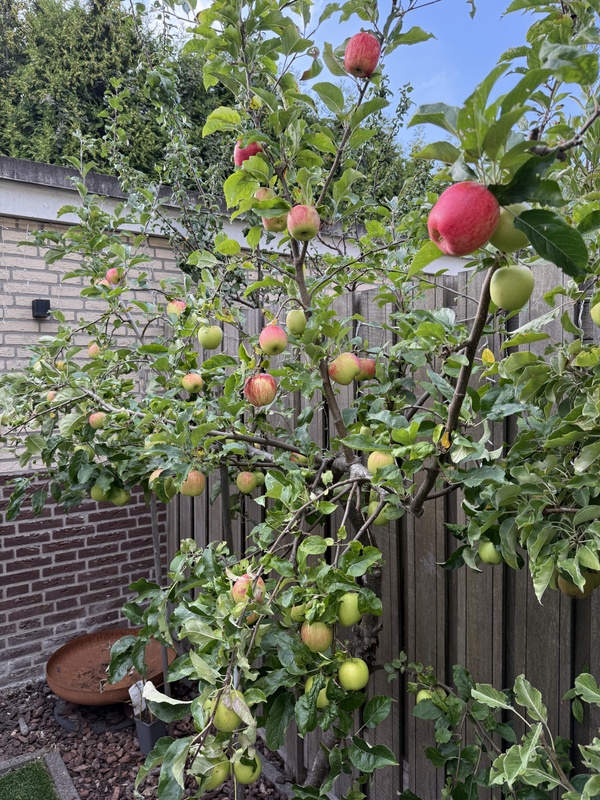 Afbeeldingslocatie: https://tweakers.net/i/xxeYLKMmZDVSrv7JFq1pPq0wwOE=/x800/filters:strip_icc():strip_exif()/f/image/2jS5QJoDcxUQ3qy8KhqflN6T.jpg?f=fotoalbum_large