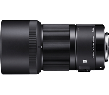 Sigma Art 70mm F2.8 DG Macro (Sony)