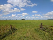 Praktijkfoto's