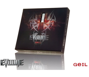 GeIL EvoOne GE216GB800C6QC