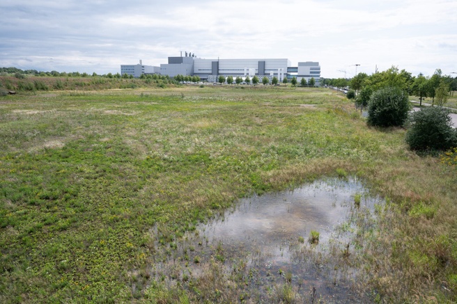 Locatie TSMC-fabriek in Dresden. Bron: picture alliance / Getty Images