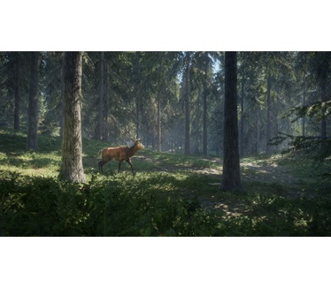 theHunter: Call of the Wild, Xbox One