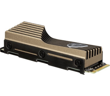MSI Spatium M570 1TB