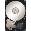 Seagate DiamondMax 23 STM31000528AS