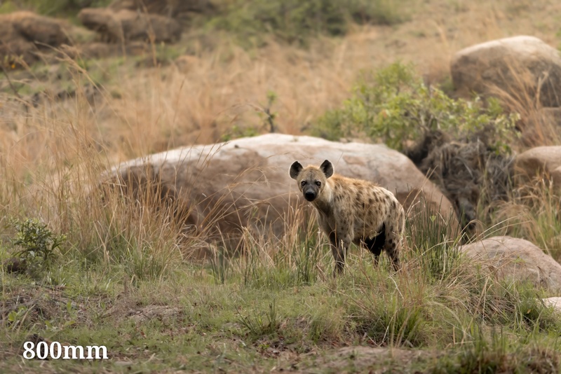 Afbeeldingslocatie: https://tweakers.net/i/y7C7US28RPeClR1tfl-J-H6lFYI=/800x/filters:strip_icc():strip_exif()/f/image/5pRsx7jHTUOzuS8v79be9q8V.jpg?f=fotoalbum_large