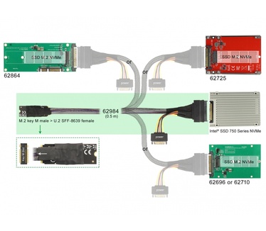 Delock M.2 Key M to U.2 SFF-8639 NVMe Adapter with 50 cm cable Zwart