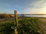 Cameratest Xiaomi 17 - Ultrawide