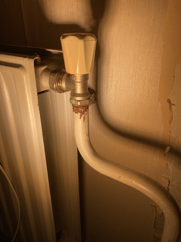 Afbeeldingslocatie: https://tweakers.net/i/y8xT2KhiZkhzDV9_Zg5f-f-_enM=/x800/filters:strip_icc():strip_exif()/f/image/ePWoArmjLgzYWGWck2yxeM6q.jpg?f=fotoalbum_large