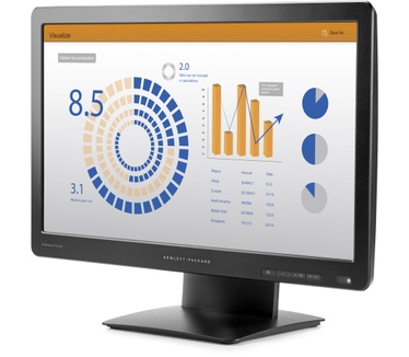HP ProDisplay P202va Zwart