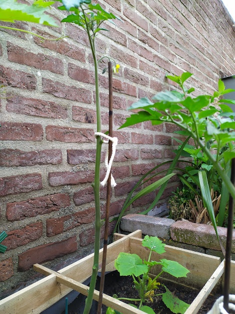 Afbeeldingslocatie: https://tweakers.net/i/yBXliXAsBJtRKHdBabuQoPonNgw=/full-fit-in/4920x3264/filters:max_bytes(3145728):no_upscale():strip_icc():fill(white):strip_exif()/f/image/SEwFEfjAZtC8KT8dOJQafMuh.jpg?f=user_large