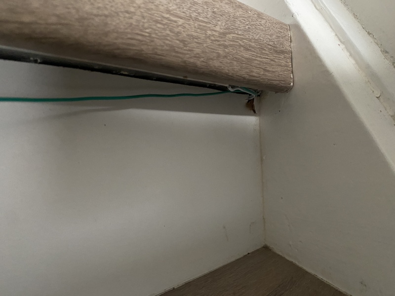 Afbeeldingslocatie: https://tweakers.net/i/yDLjpfc0jwk8g1LIEzLXQpNXiL8=/800x/filters:strip_icc():strip_exif()/f/image/bGXkFATuuvQjlio3D4ttKBLf.jpg?f=fotoalbum_large