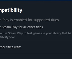 Steam Play