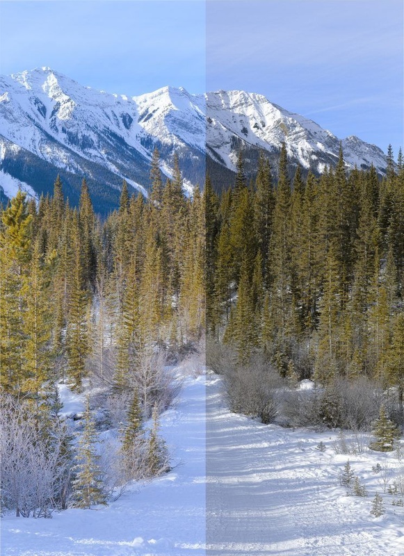 Afbeeldingslocatie: https://tweakers.net/i/yFqt2tgCW5PhrBxY7ehtovu00G0=/x800/filters:strip_icc():strip_exif()/f/image/OElUBv4wpWqVL7crqMzE32oW.jpg?f=fotoalbum_large