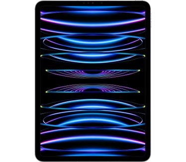 Apple iPad Pro (2022) 11" Wi‑Fi + Cellular 2TB Zilver