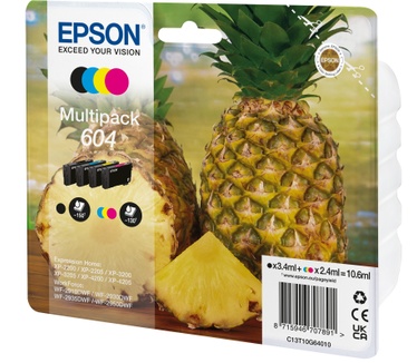 Epson 604