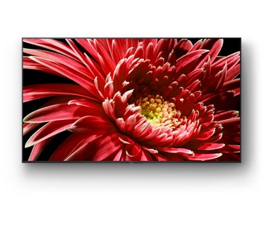 Sony KD-55XG8505 Zwart