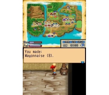 Harvest Moon: Island of Happiness, Nintendo DS