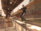 Tony Hawk Ride