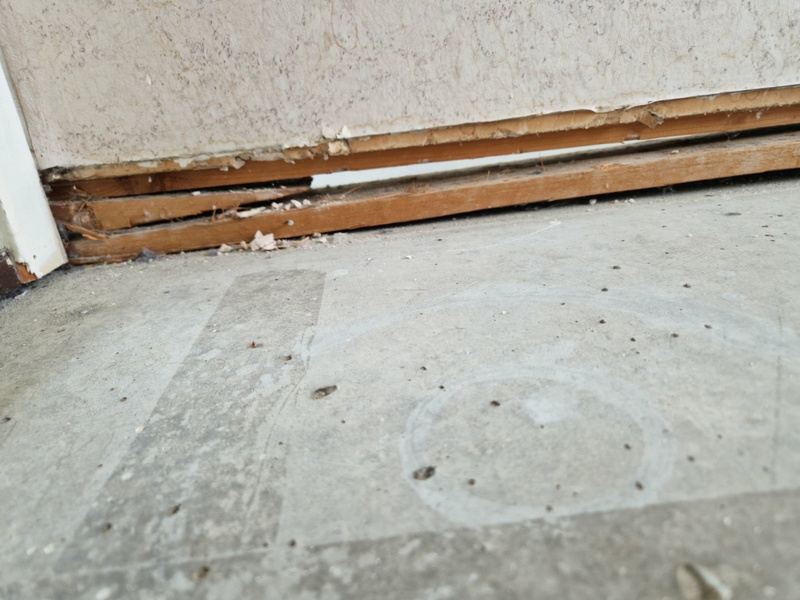 Afbeeldingslocatie: https://tweakers.net/i/yLhT7f9a5o_Suli4Z0C3h_T4cHA=/800x/filters:strip_icc():strip_exif()/f/image/6Ivh02KTlKcLCr9XqyIhtRch.jpg?f=fotoalbum_large