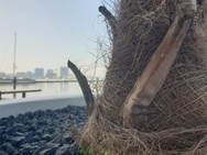 Foto gemaakt met Galaxy S9 voor review Xiaomi Mi 9