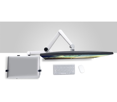 Newstar Flatscreen Desk Mount