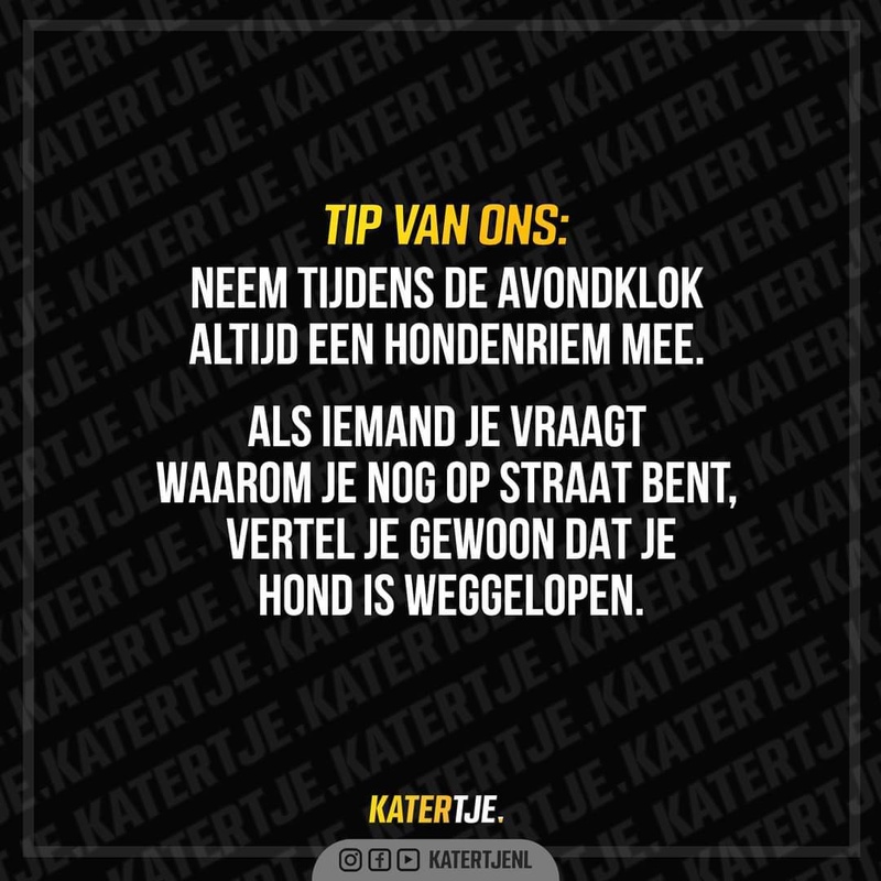 Afbeeldingslocatie: https://tweakers.net/i/yOiRp2foja5hSccJuxZEcAoBIKg=/800x/filters:strip_icc():strip_exif()/f/image/xV2omt0irA7akgOIUmzkNoAj.jpg?f=fotoalbum_large