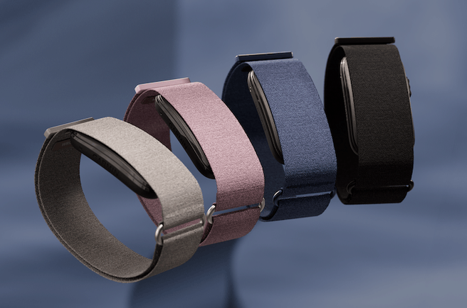 Garmin Cirqa Smart Band