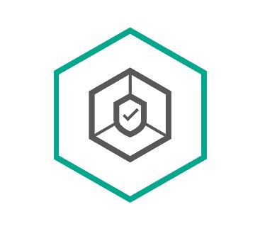 Kaspersky Lab Small Office Security