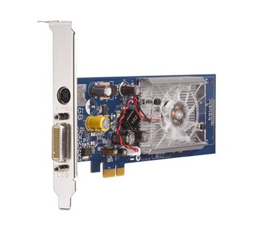 HP NVidia GeForce 8400 GS 256MB DH PCIe x1 Card