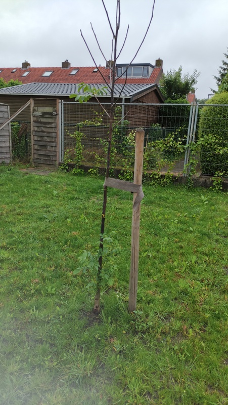 Afbeeldingslocatie: https://tweakers.net/i/ySFkLtTUtFNgdQhmGYhf1HHMgFE=/x800/filters:strip_icc():strip_exif()/f/image/ojNz3A5WXysAesBu6I9z2Jg1.jpg?f=fotoalbum_large