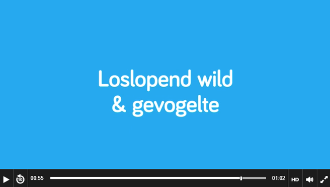 Loslopend wild