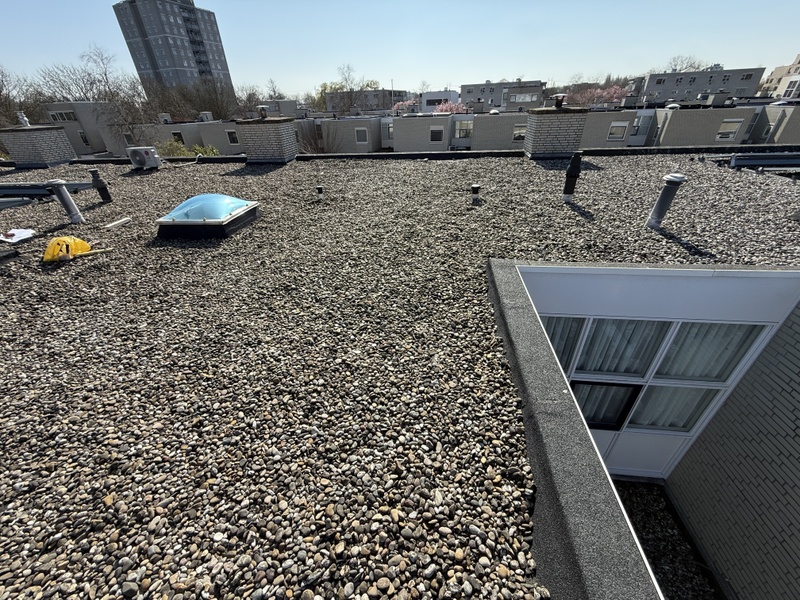 Afbeeldingslocatie: https://tweakers.net/i/yTvKULsZcCmImnZZETTJlEJndZ0=/800x/filters:strip_icc():strip_exif()/f/image/YhvB43TpPWglsW5RznjJul8d.jpg?f=fotoalbum_large