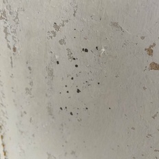 Afbeeldingslocatie: https://tweakers.net/i/yVs6PSclFLr1xf56A4cKrNfP4Ro=/232x232/filters:strip_icc():strip_exif()/f/image/D0Fk8stxUl9Orc9RUlX80UwF.jpg?f=fotoalbum_tile