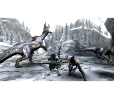 Monster Hunter Tri