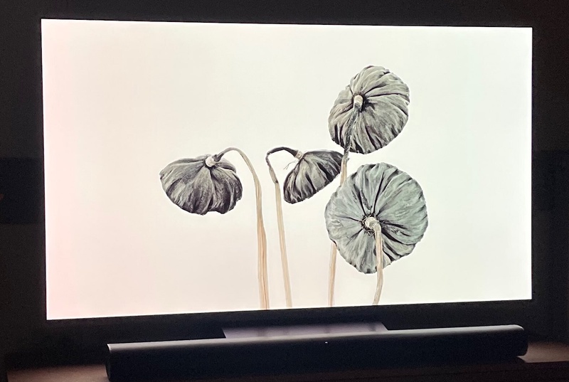 Afbeeldingslocatie: https://tweakers.net/i/ybMh6c-HfrC4RX0l3mBC5C0r7xo=/800x/filters:strip_icc():strip_exif()/f/image/sIunjKYzuV4thrmeFg49kBk3.jpg?f=fotoalbum_large